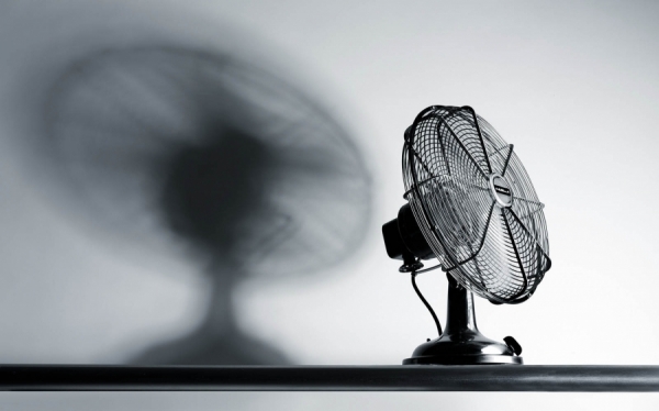 Photograph Mark Wiens Fan on One Eyeland